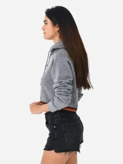 Aviator Nation Women's Logo Stripe Crop Pullover Hoodie -ST.BERNARD Clothing HDPCLSTPBxHEATHERGREYxAlt2 98824643