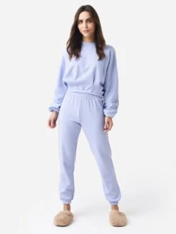 Z Supply Women's Mariana Pleated Sweatshirt -ST.BERNARD Clothing ZT224826xVIOLETSKYxAlt2 84043071