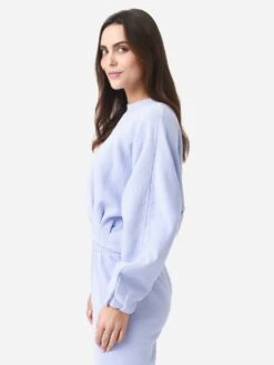 Z Supply Women's Mariana Pleated Sweatshirt -ST.BERNARD Clothing ZT224826xVIOLETSKYxAlt3 84043072