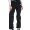 Descente Women's Gwen Ski Pant
